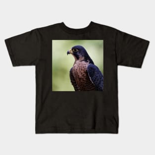 Peregrine Falcon Kids T-Shirt